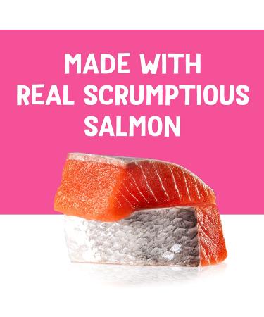 Friskies Cat Treats 1.55 oz Pouches Salmon (16 Pack) - Tasty Treats for Your Feline Friend - Buy Online on GoSupps.com