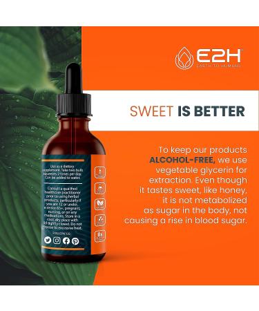 E2H Turmeric Curcumin Drops with Black Pepper - Joint Support - Vegan & Non-GMO - 2 Bottles - Buy Online on GoSupps.com