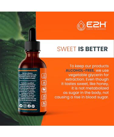 E2H: Liver Support Supplement (2 Pack - 4 Fl Oz) and Liquid Turmeric Curcumin (Single Bottle - 2 Fl Oz) | Vegan Non-GMO - (6 Fl Oz Total) - Bundle - Buy Online on GoSupps.com