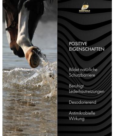 HOOFGOLD Hornpad for Horses - 10 Pads for Effective Thrush and Frog Care | International Shipping - Buy Online on GoSupps.com