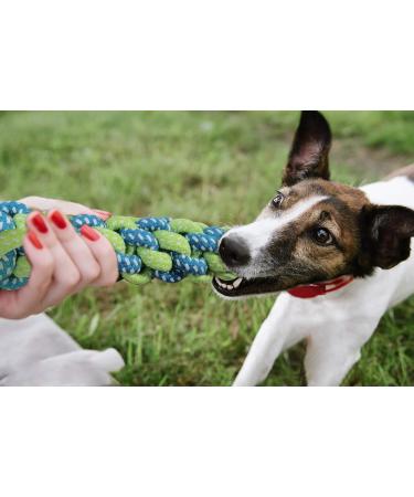 Dog Rope Toys for Medium Dogs - 7 Pack Durable Rope Chewy Toys for Dog Teething Cleaning Dog Training Prevents Boredom and Relieves Stress - Buy Online on GoSupps.com