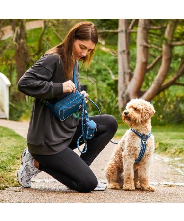 DOG Copenhagen Go Explore Belt Bag - Wild Rose | International Shipping - One Size - Buy Online on GoSupps.com