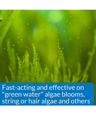 API ALGAEFIX Algae Control - 16 oz Bottle for Effective Algae Management - Buy Online on GoSupps.com