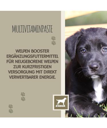 Vitamins for Dogs 1 ml + Paste 15 ml Vitamin B Complex for Dogs Vitamins B + Vitamin ACD Calcium Strengthens Vitality Multivitamins & Minerals Supports the Immune System Skin Coat - Buy Online on GoSupps.com