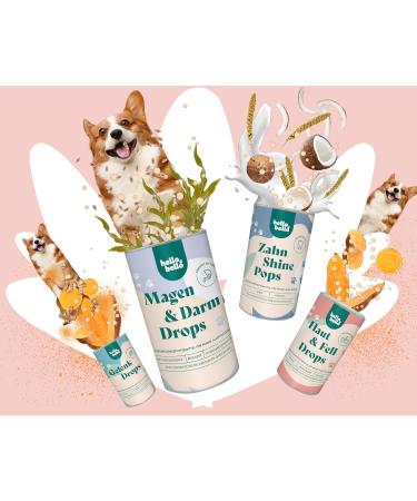 Hellobello Skin & Fur Drops for Dogs | 2 x 350g with Algae Oil Brewers Yeast & Biotin for Soft Shiny Fur & Healthy Skin - International Shipping Available - Buy Online on GoSupps.com