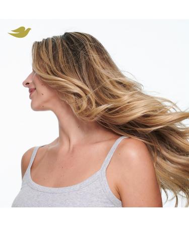 Dove Extra Hold Styling Hairspray Control & Shine for Long-Lasting Hold & Shine Provides 24H Natural Hold & Shine 7 oz 7 Ounce (Pack of 1) - Buy Online on GoSupps.com