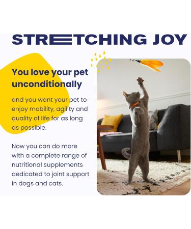 Vetoquinol Flexadin Advanced Cat Joint Supplement One Unit a Day for Cats 30 Chews - Buy Online on GoSupps.com