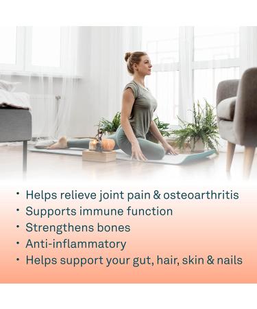 Organika Enhanced Collagen Bone and Joint Powder- with Glucosamine MSM Chondroitin Sulfate & Full Spectrum Collagen Type 1 2 3- Bovine Marine and Chicken Collagen Combination - Buy Online on GoSupps.com