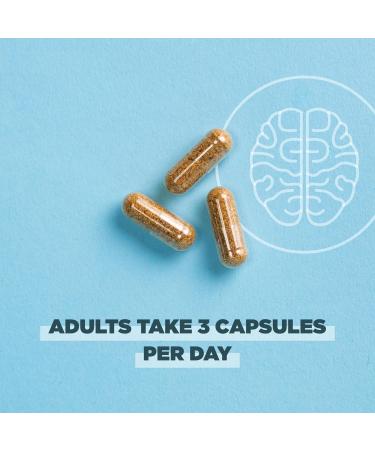 Ancient Nutrition Regenerative Organic Certified Focused Brain Capsules Made with Ginkgo Leaf Lion's Mane to Help Reduce Stress Gluten Free Paleo and Keto Friendly 90 Count - Buy Online on GoSupps.com