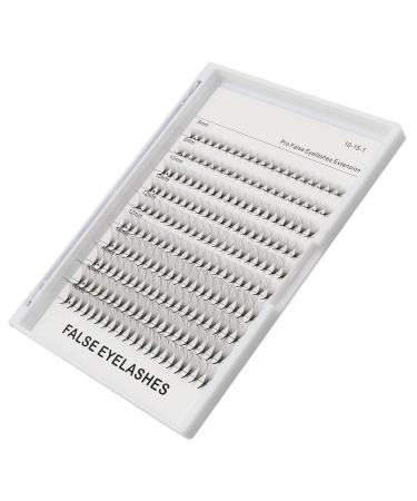 12D Russian Volume Faux Mink Eyelash Extensions 0.07mm D Curl Premade Fans (8-16mm Mixed) | 10 Piece Assortment for Professional Use - Buy Online on GoSupps.com