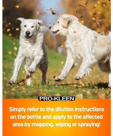 Pro-Kleen Kennel Disinfectant Cleaner & Deodoriser (Cherry Fragrance) - 5L Pack - Tested according to DVG (German Veterinary Medical Society) 5 l (Pack of 1) - Buy Online on GoSupps.com