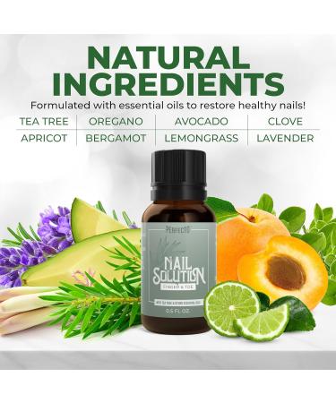 Perfecto Tea Tree Oil Toenail & Fingernail Treatment - Extra Strength Nail Repair for Yellow & Cracked Nails - 0.50 Fl Oz (Pack of 2) - Buy Online on GoSupps.com