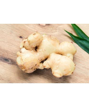 Verduro Organic Ginger Capsules - 150 High Dose Vegan 800mg - Pure Organic Ginger Powder for Immunity & Metabolism Lactose-Free - Buy Online on GoSupps.com