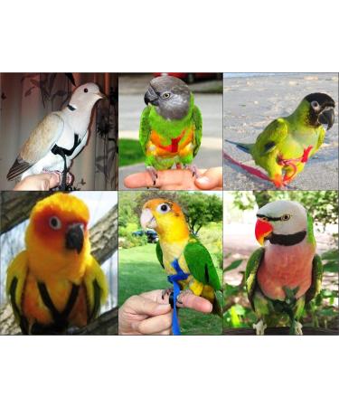 Aviator Bird Harness & Leash - Made in America | XS Red | International Shipping Available - Buy Online on GoSupps.com