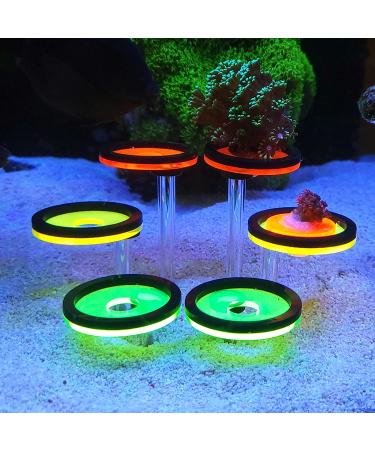 Coral Frag Rack: 6 Plug Fluorescent Holder for Marine Reef Aquarium - Cultivating Live Coral Spare Parts - Buy Online on GoSupps.com
