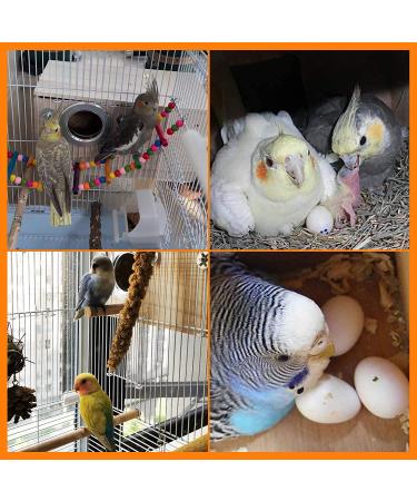 Parakeet Nest Box for Breeding - Ideal for Budgies, Cockatiels, Lovebirds, and More - Buy Online on GoSupps.com