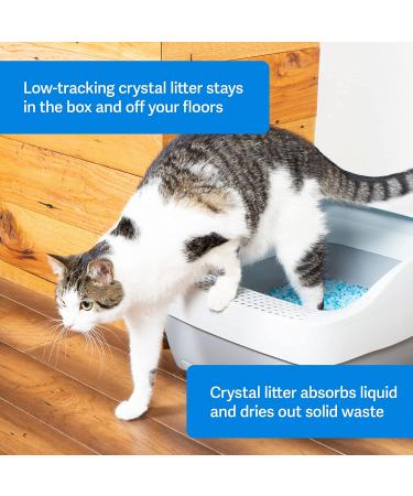 PetSafe ScoopFree Premium Crystal Cat Litter - 8.6 lb Total - 5x Better Odor Control - Non-Clumping Formula - Low Tracking & Dust - Original Blue - Buy Online on GoSupps.com