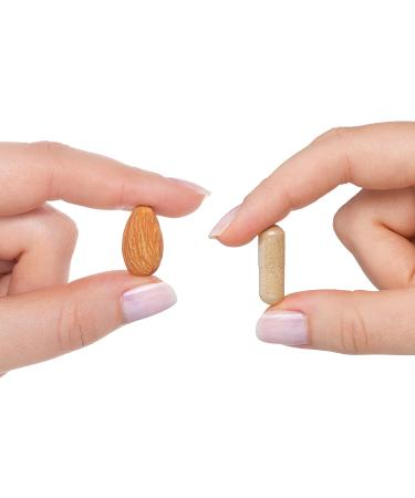 Seeking Health Optimal Multivitamin Plus Active B Vitamins | 240 Capsules - Buy Online on GoSupps.com