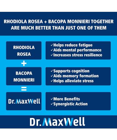 Rhodiola Rosea + Bacopa Monnieri Nootropic Adaptogens Supplement - 90 Capsules - Best for Fatigue & Stress Support, Brain Function & Focus - More Nutrients Than Competitors - Buy Online on GoSupps.com
