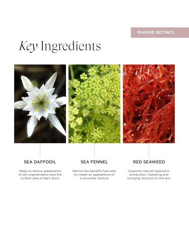 Vitalisea Time Traveler Facial Serum | Bio-Retinol Anti-Aging Organic | Vegan & Enhances Cellular Turnover | 1 Oz - International Shipping - Buy Online on GoSupps.com