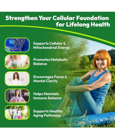 NAD+ Liquid Supplement - Liposomal NAD+ Boost for Healthy Aging Longevity & Cellular Energy - Nicotinamide & Resveratrol Complex for Brain & Mitochondrial Support - Vegan Sugar Free 4 fl oz 4 Fl Oz (Pack of 1) - Buy Online on GoSupps.com