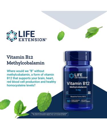 Life Extension Methylcobalamin 5 mg - 60 Vegetarian Lozenges for Energy & Nerve Health - Buy Online on GoSupps.com