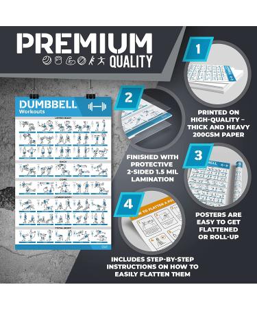 16-Pack Large Workout Poster Set - Dumbbell, Yoga, Resistance Band, Kettlebell & Stretching Exercise Charts for Home Gym - Buy Online on GoSupps.com