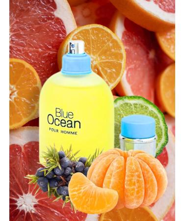 BLUE OCEAN POUR HOMME EAU DE TOILETTE 3.4 Fl. oz. Citrus Aromatic fragrance for Men. - Buy Online on GoSupps.com