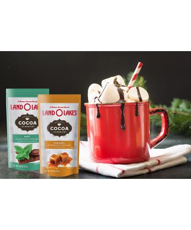 Land O'Lakes 7 Flavors Hot Cocoa Mix Gift Basket - 60 Pieces - Family and Friends Gift - For Her and Him - Buy Online on GoSupps.com