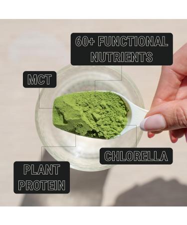 ON3 Athletic Protein Greens Supplement with chlorella eleuthero and MCT Powder (30 Servings Herbal) Herbal 1.13 Pound (Pack of 1) - Buy Online on GoSupps.com