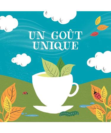 CLIPPER - Organic Green Tea - Delicious - Fair Trade - Large Size - 50 Organic Tea Bags - 1 pack - Buy Online on GoSupps.com