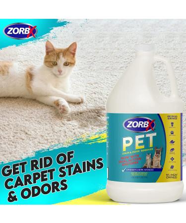 ZORBX Pet Stain and Odor Eliminator - Natural Enzymes Neutralize Strong Pet Odors | 128oz Carpet Cleaner Spray - Buy Online on GoSupps.com