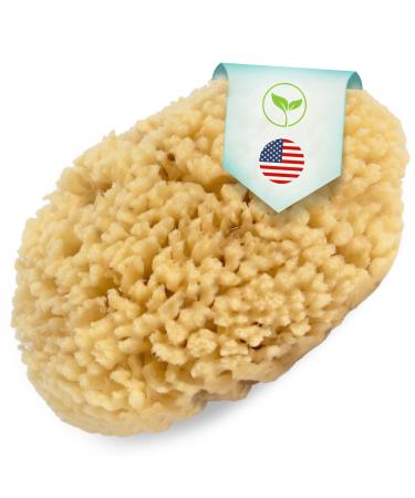 XFO Sea Sponge Natural Yellow Sponge (Large 5.5in) All Natural Loofah Alternative - Natural Sponges for Bathing Showering and Exfoliating All Natural Sponge Loofa - Grown Off The Coast of The USA