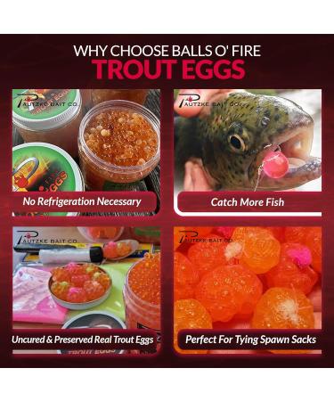Pautzke Balls O Fire Trout Eggs - Premium Uncured Fishing Bait (8 Oz) - Real Egg Bait for Trout Fishing No Refrigeration Needed - Buy Online on GoSupps.com
