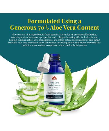 Natural Paradise 20% Vitamin C Face Serum - Anti-Aging Facial Serum With Hyaluronic Acid Aloe Vera & Green Tea 30ml Facial Serum Certified Ingredients Vitamin C Serum For Face - Made In Canada - Buy Online on GoSupps.com