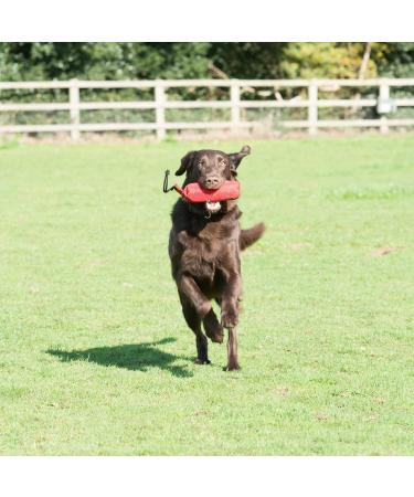 Company of Animals Canvas Training Dummy - Medium Size | Retrieval & Gundog Training Equipment | Floats & Highly Visible | Long Distance Throwing | Suitable for Puppies | Old Model - Buy Online on GoSupps.com