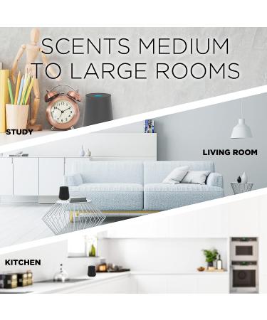 Air Wick Essential Mist Refill 5 ct Lavender and Almond Blossom - Buy Online on GoSupps.com