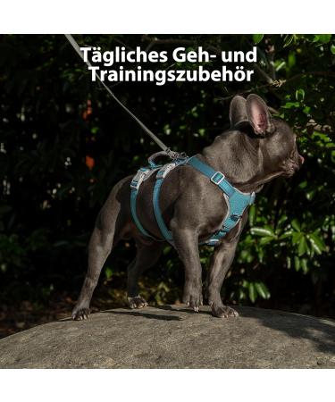 Huntboo Safety Harness for Small Dogs - Reflective Adjustable Durable Vest for Escape Artists - Blue (Size S) - Perfect for Walks - Buy Online on GoSupps.com