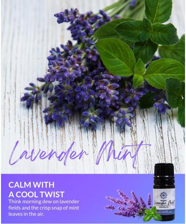 Essence Lavander Mint Essential Oil 100% Pure & Therapeutic Grade Perfect for Aromatherapy Diffusers & Recharging Essence Nasal Diffuser Rings Natural Stress & Mood Support (5mL) Lavender Mint 0.17 Fl Oz (Pack of 1) - Buy Online on GoSupps.com