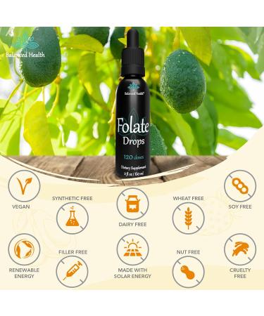 Folate Drops - 120 Servings 2oz Butterscotch Flavor 500mcg L-5-MTHF Folic Acid Supplement 2 Fl Oz (Pack of 1) - Buy Online on GoSupps.com
