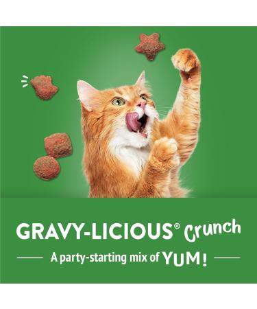 Friskies Party Mix Cat Treats Gravy-licious Crunch Turkey and Gravy - 170 g Pouch (1 Pack) 170 g (Pack of 1) - Buy Online on GoSupps.com