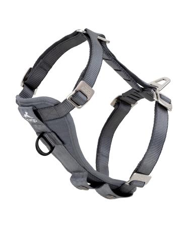 Kurgo Tru-Fit Car Safety Harness for Dogs With Padded Chest Panel and D-Ring With Car Seat Belt Size XL Gray Gray XL