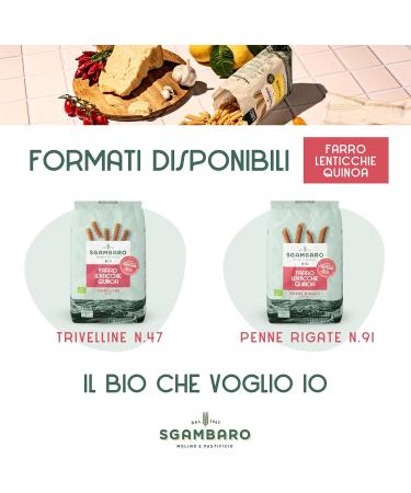  Sgambaro Sgambaro P ta Stylos Rigate Farre Lenticchie Quinoa Bio Grain 500 g - Buy Online on GoSupps.com