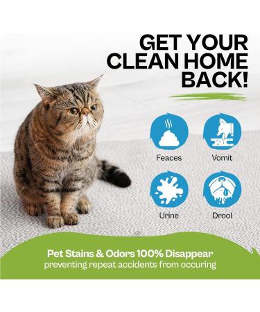 Stain & Odour Remover For Cats | Powerful Enzyme Cleaner | 500ml - Buy Online on GoSupps.com