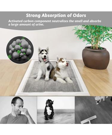 Fhiny Rabbit Pee Pads 100ct - Disposable Charcoal Bunny Pads for Dogs, Cats, Small Pets - Leak-Proof & Super Absorbent Potty Training Pad - 13 x 18 inches - Buy Online on GoSupps.com