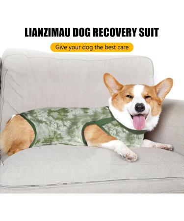 Buy Lianzimau Dogebody After Op Body Suit for Male Dogs - Wound Protection & Comfort | Tie-Dye Green Surge Suit - Buy Online on GoSupps.com