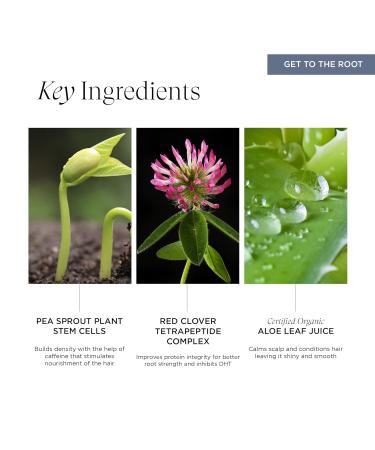 Pure Plenty Nourishing Scalp Serum | Advanced Hair Cycle Support | Vegan Formula for Fuller Stronger Hair | 5 Oz - Buy Online on GoSupps.com