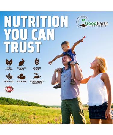 Algal Oil - Vegan DHA Omega 3 Fish Oil Supplements - Brain Booster Supplement & Prenatal Vitamin -Provides Healthy Heart & Immune Support - Burpless Algae Supplement - 60 Mini Fish Softgels - Buy Online on GoSupps.com