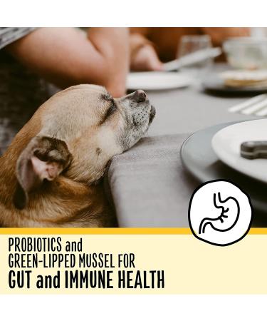 Premium Senior Dog Food for Dogs 7+ Years | Nutritious & Easy to Digest - Buy Online on GoSupps.com