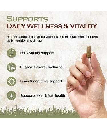 Grass Fed Beef Liver Supplement - Freeze-Dried, Nutrient-Dense Beef Liver Capsules w/Vitamin A, Folate, Vitamin B12 - Organ Supplements for Joint Support, Collagen Synthesis & Overall Well-Being - Buy Online on GoSupps.com